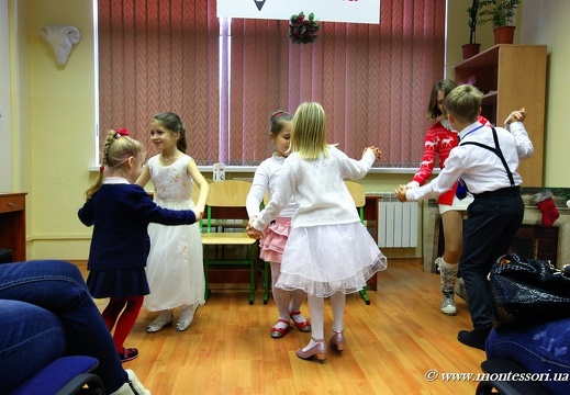 IMG 7037