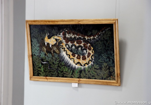 IMG 0987